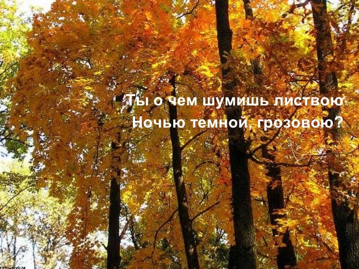 Кто и как спасает лес от пожара? Quot;Пожар в лесу" - внеурочная работа, уроки