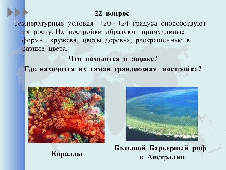 Анды где находится материк Анды где находится материк