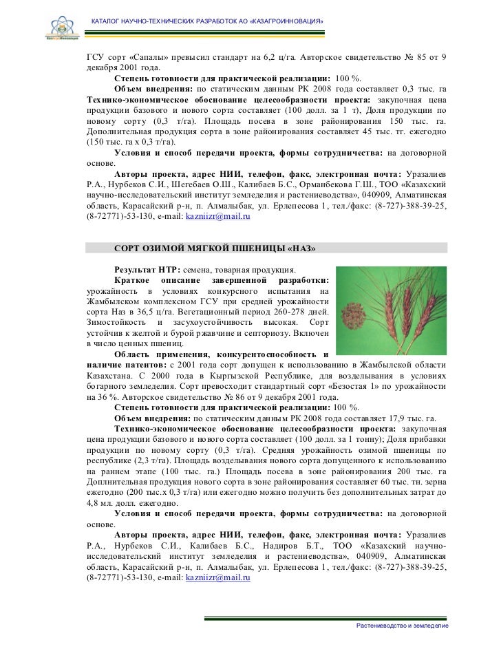 Сорт озимой пшеницы описание Сорт озимой пшеницы описание