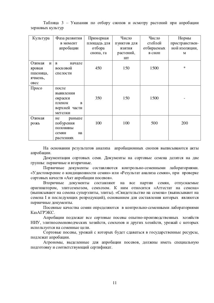 Сортовые семена зерновых Сортовые семена зерновых