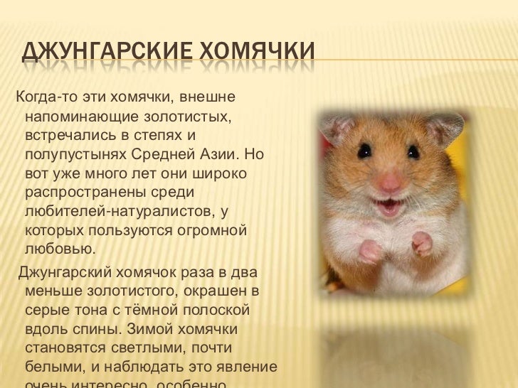 101 Осн методы пластики деф чло 10 самых надежных методов контрацепции Мой Гинеколог