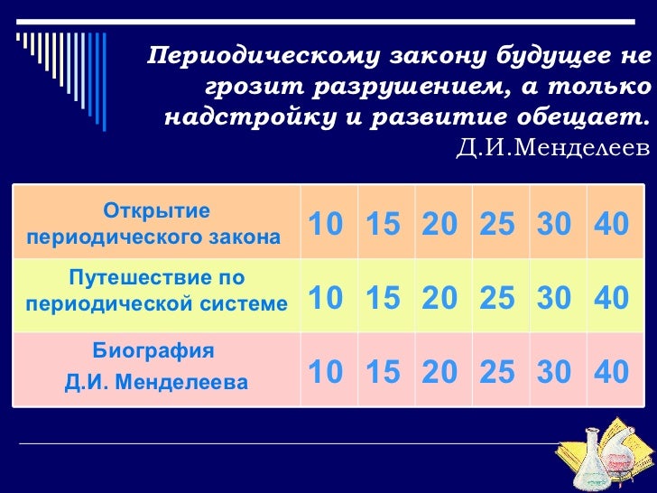 доклад + о скелете человека