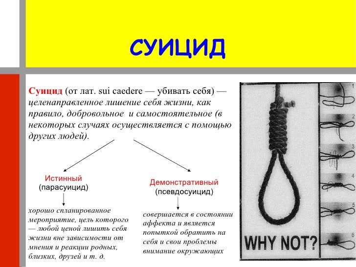 Как умереть в домашних условиях 458