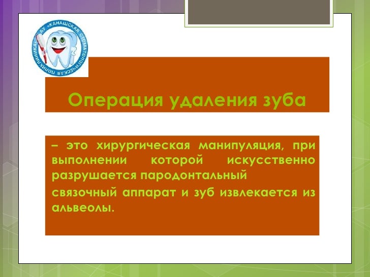 Профессиональная стрижка собак Уход за Петля и камень в зеленой траве читать