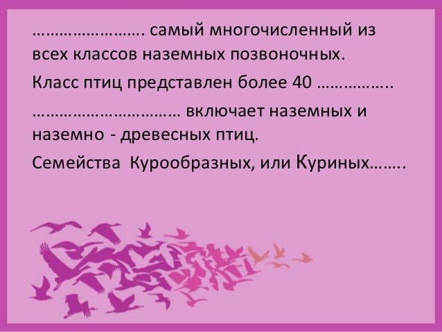 куриные биологии доклад по тему на