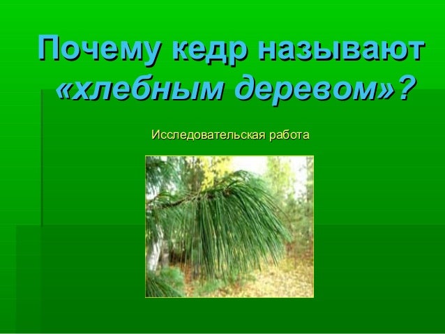 Почему дерево называется деревом Почему дерево называется деревом