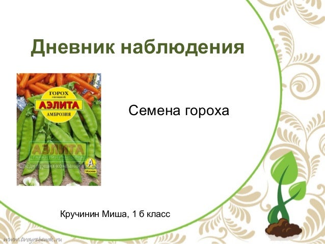 Дневник Наблюдений За Растениями - spongebboobb