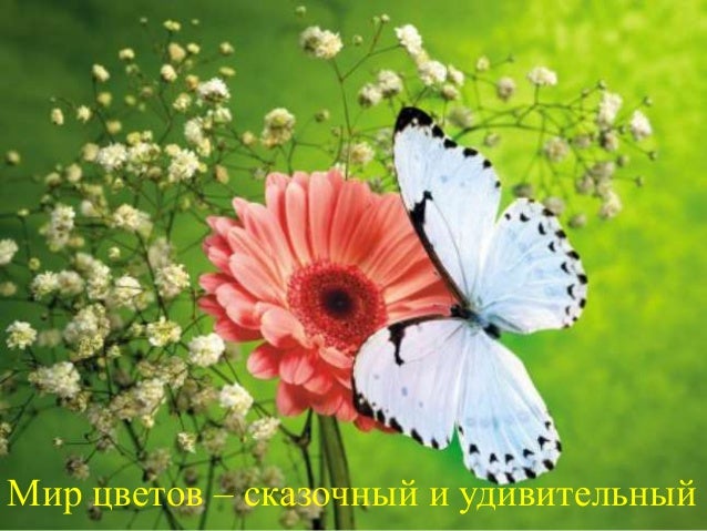 гуси лебед летять конспект уроку гуси лебед летять конспект уроку