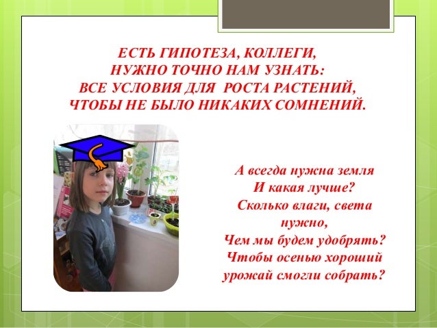 Чем подкормить и удобрить розы: минеральные, органические и Когда и как правильно удобрять огород Мастер