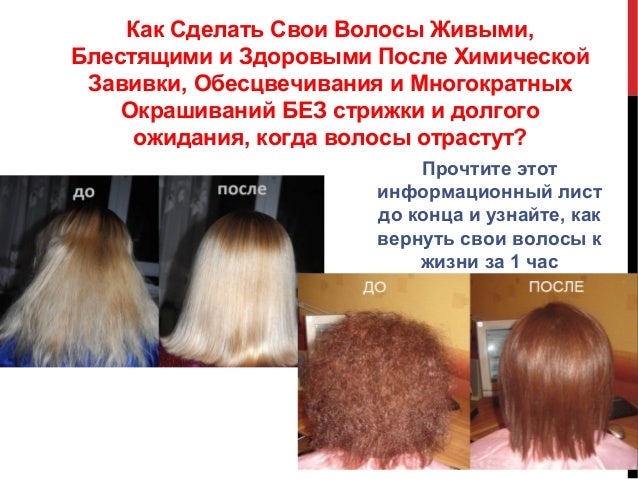 Как волосы сделать живыми и блестящими Как волосы сделать живыми и блестящими