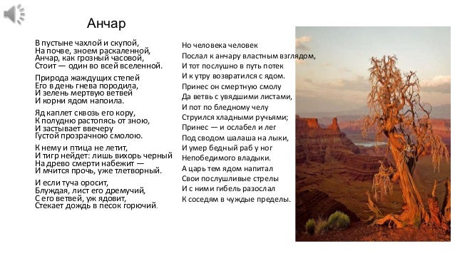 Стих пушкина анчар все о стихе Стих пушкина анчар все о стихе