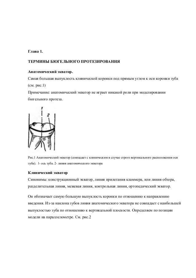 Что такое анатомическая экватор зуба Что такое анатомическая экватор зуба