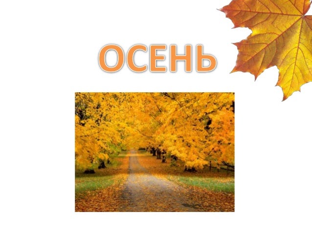 Года по буддийскому календарю