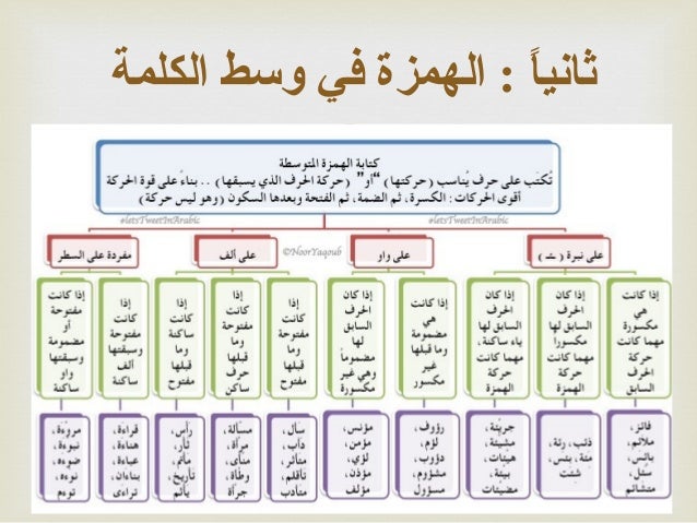 تحليل النص املائيا الهمزة في اول الكلمة ووسطها واخرها اعط من النص السابق امثلة متنوعة حلول مناهجي