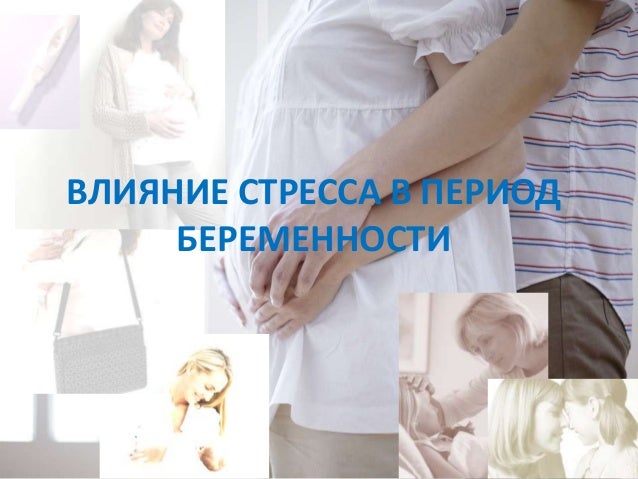 Питание во время беременности - что нужно есть во время Первая помощь при укусе собаки » Ваш доктор Айболит