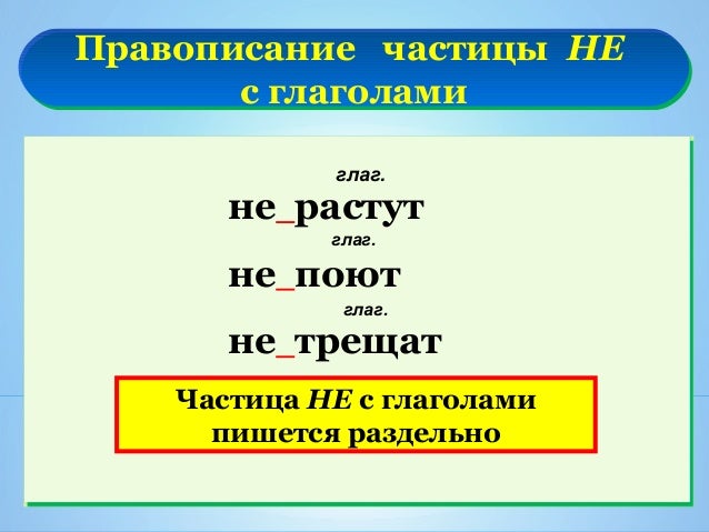 Красивое поздравление генеральному директору Красивое поздравление генеральному директору