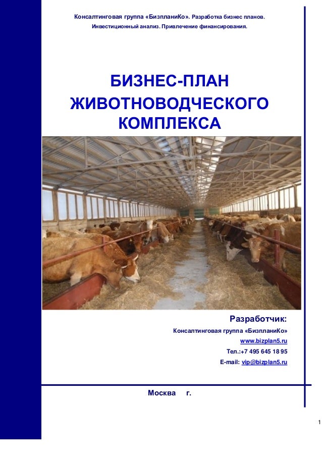 Бизнес план выращивание крупнорогатого скота 46