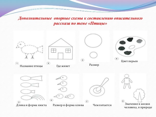 Опорные схемы для составления описательных рассказов в детском Опорные схемы для составления описательных рассказов в детском