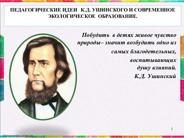 Цитаты кушинского Цитаты кушинского