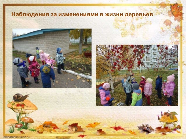 О природе родного края стих О природе родного края стих