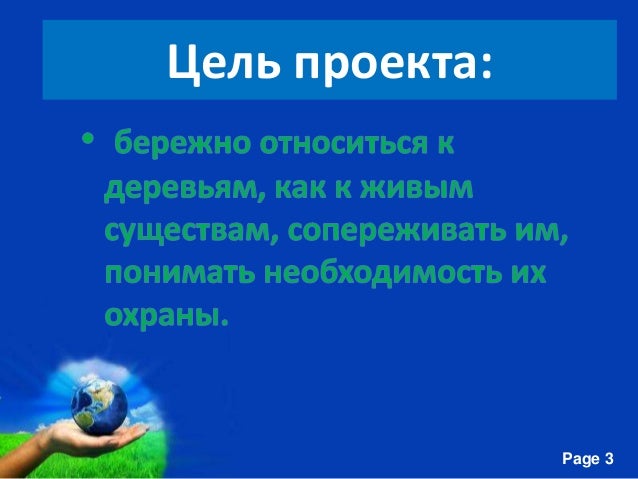 о березе презентация