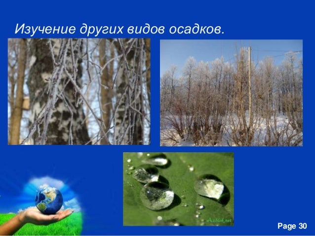 приложение для андроид рецепты на каждый день о березе презентация