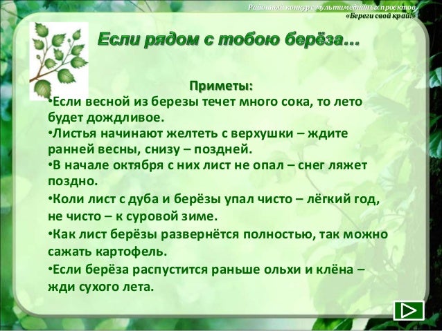 На каком расстоянии от соседского участка можно сажать деревья? Как правильно сажать петунию