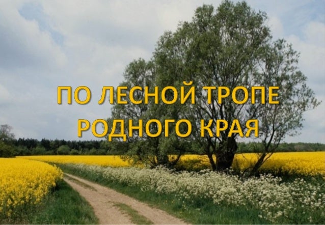 Заболевание кожи ихтиоз: причины возникновения, симптомы, лечение Выращивание астры многолетней: условия выращивания астры, уход