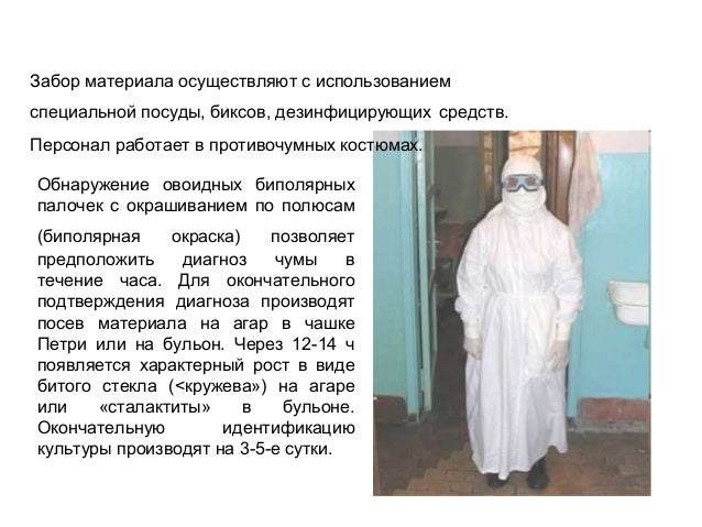 Бак посев носоглотки Бак посев носоглотки