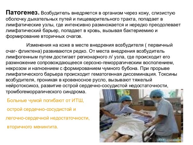 Повышение температуры позвоночнике Повышение температуры позвоночнике