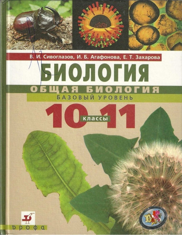 Учебник Английского Языка 11 Класс Для Ученика