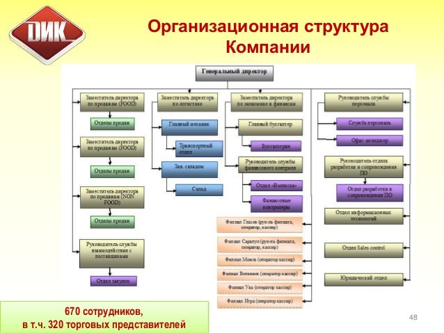 Организационная структура компании невская косметика - биокон косметика.
