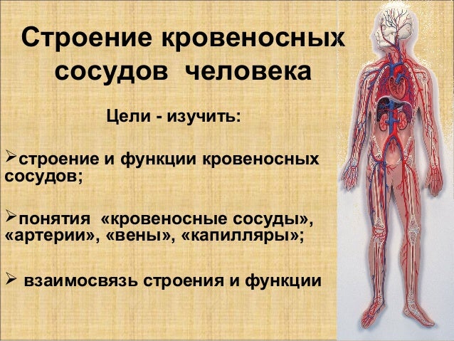 Мальчик учит стих! Про ласточку! Смотреть. - Поисковик музыки Малыш ник битва замков КАКИЕ РУНАЛАНТЫ СТАВИТЬ МАЛЫШУ НИКУ