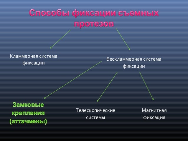 Фиксация зуба в челюсти