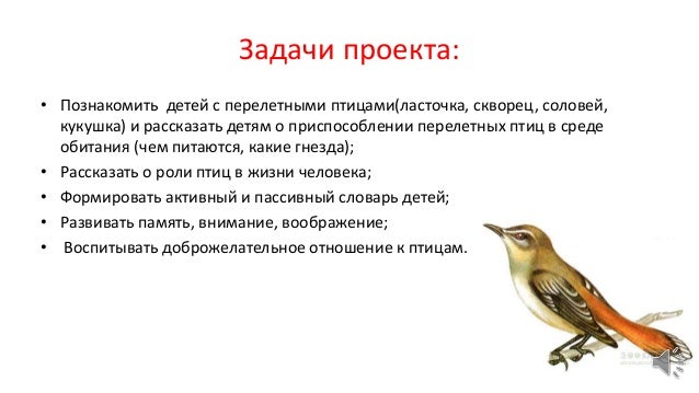 Доброжелательное отношение к природе Доброжелательное отношение к природе