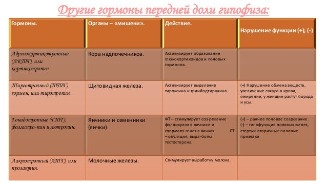 Это твоя простата Это твоя простата