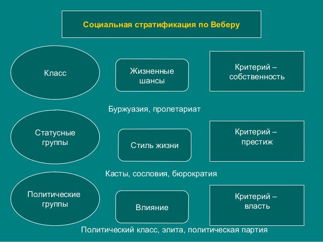 Картинки по запросу статусные группы