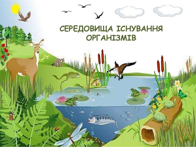 СЕРЕДОВИЩА ІСНУВАННЯ
ОРГАНІЗМІВ
