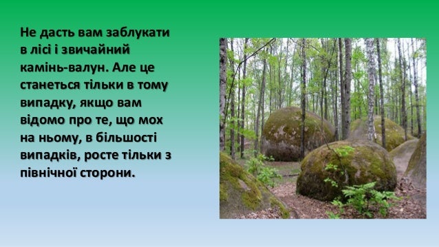 Картинки по запросу в лісі орієнтир по чому