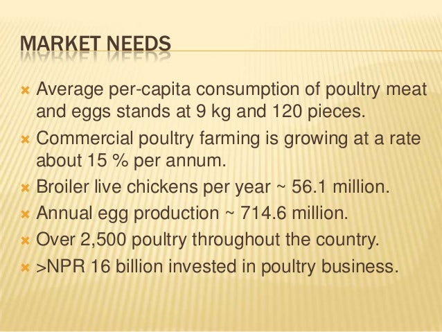 Starting a successful poultry business 1 « awoko 