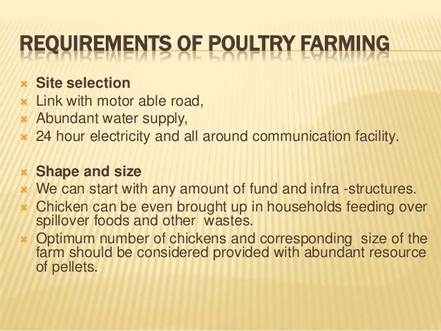 Business plan for poultry production   masterplans