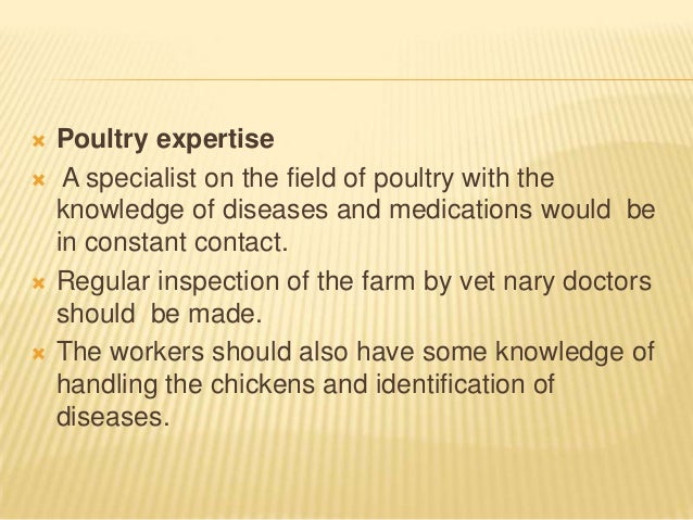 Poultry business plan   africanpoultryfarming.co.za
