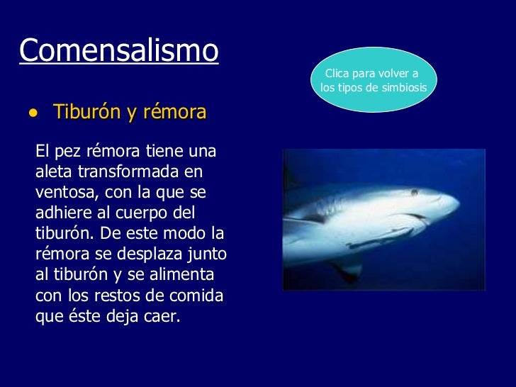 Como determinar que en el organismo viven las lombrices