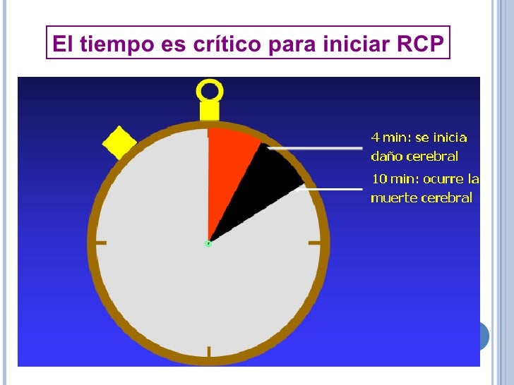 Imatge relacionada