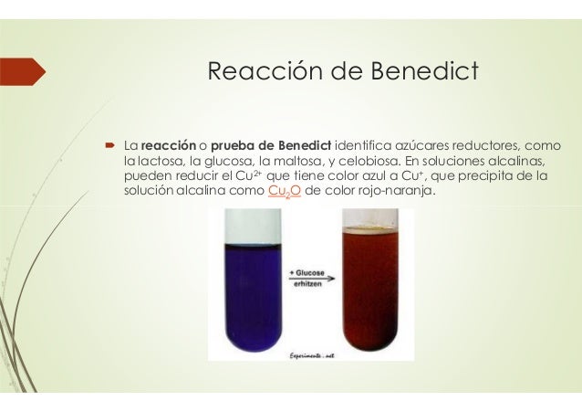 Reacciones de los carbohidratos