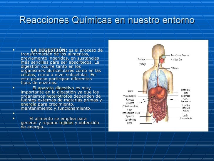 Reacciones quimicas sebastian