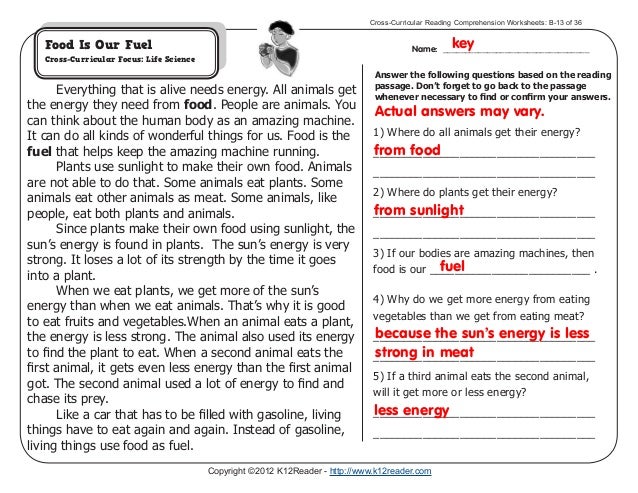 Printables Cross-curricular Reading Comprehension Worksheets collection of cross curricular reading comprehension worksheets bloggakuten