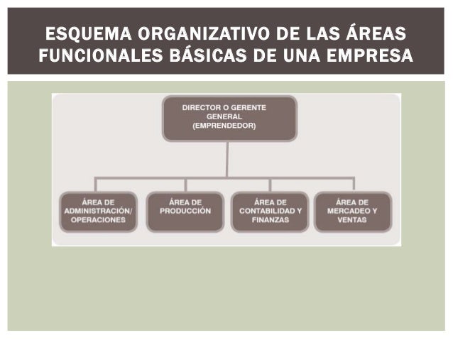 Adelgazamiento De Una Empresa