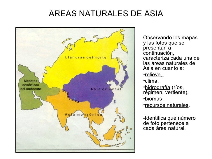 Relativo A Los Países Asiáticos O Natural De Asia