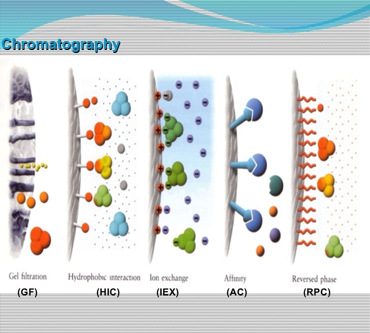 protein expression and purification Lecture